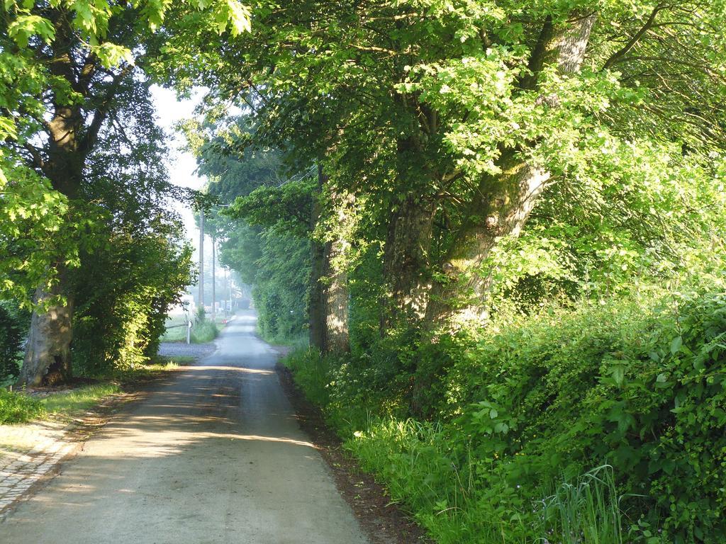 B&B V.K. Pgmbh St. Vith Buitenkant foto