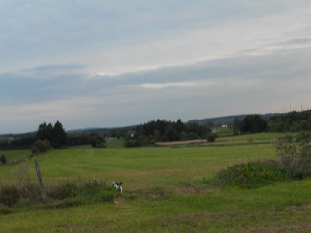 B&B V.K. Pgmbh St. Vith Buitenkant foto